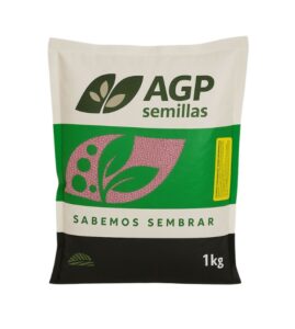 Alfalfa Moapa 69 x kg