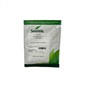 Pepinillo Darlington F1 x 1,000 semillas