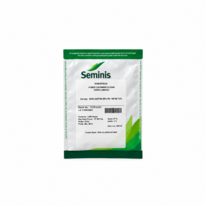 Pepinillo Darlington F1  x 1,000 semillas