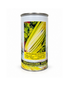 Apio Golden Self Blanching x 500 gr