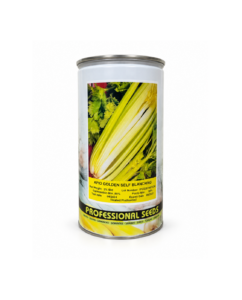 Apio Golden Self Blanching x 500 gr