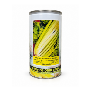 Apio Golden Self Blanching x 500 gr