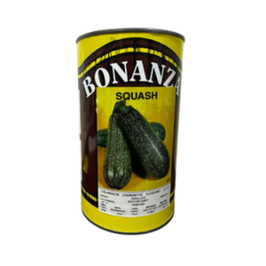Zucchini x 500 gr