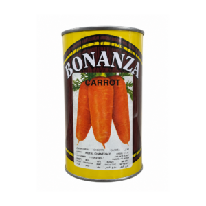 Zanahoria Royal Chantenay x 500 gr